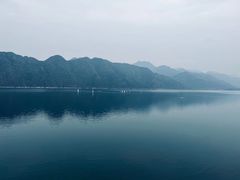 -望湖烤鱼