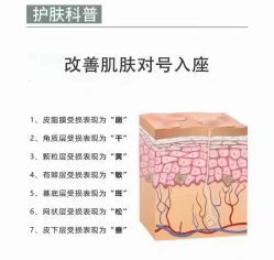 -LUNA皮相美·骨相美高级美感