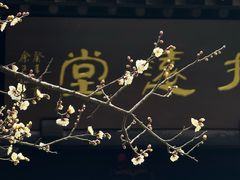 -钱王祠