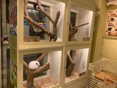 -龙猫仔乐园(惠福东路店)