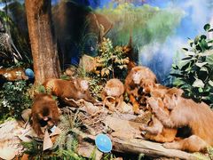 -湖南省地质博物馆