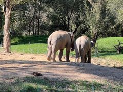-北京野生动物园