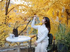 -腾爱熊猫咖啡生活馆(老东门店)