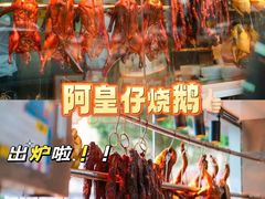-阿皇仔烧鹅(麦地店)