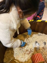 -宝燕乐园(闵行旗舰店)