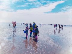 -碧海金沙