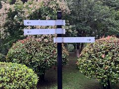 -聚龙湖公园
