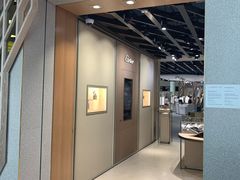 -谢列梅捷沃国际机场