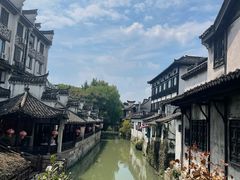 -枫泾丁氏烧卖(枫丽路店)