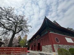 -天津大悲禅院