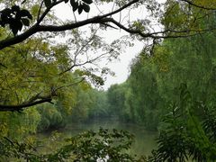 -大湾区中央湿地公园