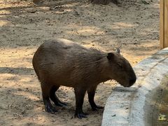 -南戴河国际娱乐中心