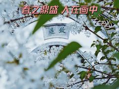 -颐和园