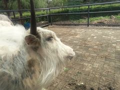 -长白岛森林公园