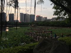 -南宁南湖公园