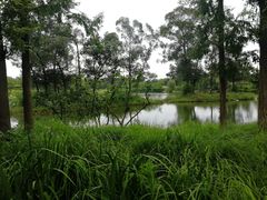 -两河城市森林公园