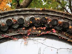 -汇龙潭