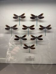 -酷嗒动物文化乐园(cutezoo西溪乐天城店)