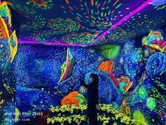 -梵高星空艺术馆(北京旗舰店)