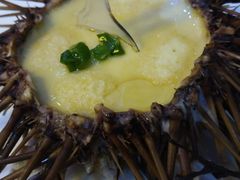 -海岛渔村大酒店(云霄路店)