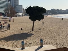 -青岛海滨风景区