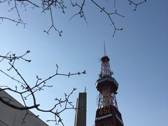 -札幌电视塔