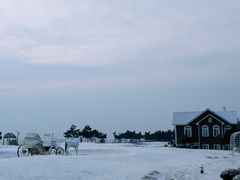 -金沙滩海水浴场(万平口景区4号门扬帆广场店)