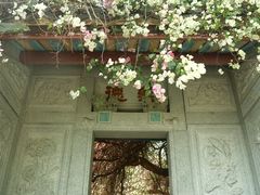 -深圳国际园林花卉博览园