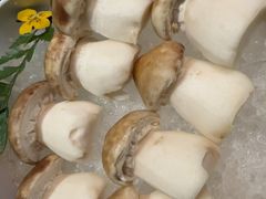 -牛村来人潮汕牛肉火锅(西单店)