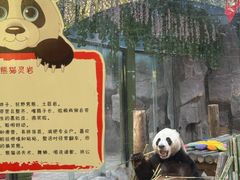 -栾川竹海野生动物园