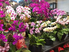 -双季花艺园艺市场(浦东店)