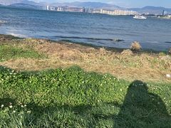 -洱海月湿地公园