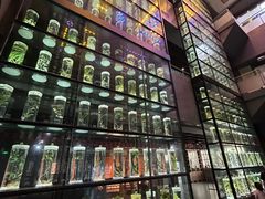 -广东中医药博物馆