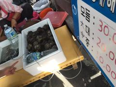 -柱状节理带
