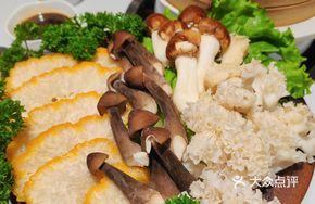 Premium Wild Mountain Mushrooms Assortment