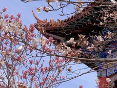 -皇罗禅寺