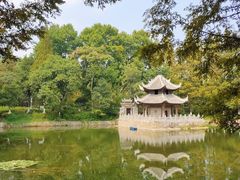 -习家池