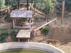 -石家庄市动物园