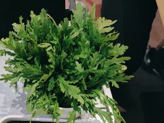 -八合里潮汕鲜牛肉火锅(吉大店)