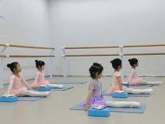 -红舞鞋舞蹈教育(近江校区)