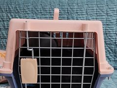 -佳雯宠物医院·皮肤科·内外科(春晓路分院)