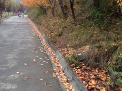 -终南山南五台景区