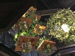 -胡桃里音乐酒馆(白云五号T5 MALL店)