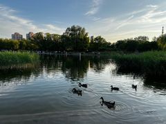 -太阳宫公园