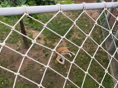 -西霞口神雕山野生动物世界