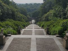 -宜兴龙背山森林公园
