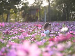 -天适樱花悠乐园