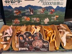 -芸山季·云南山珍菌火锅(人民广场来福士店)