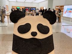 -Apple零售店(青岛万象城店)