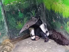 -常州淹城野生动物世界